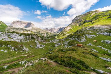 Lech, Warth, Bludenz yakınlarındaki Vorarlberg Avusturya 'daki Lechquellen Dağları' nda muhteşem bir yürüyüş.