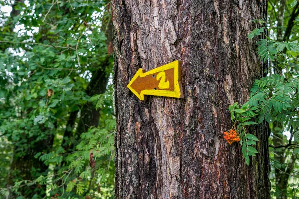 Krásná Přírodní Rezervace Wilhelmsdorf Pfrunger Ried Horním Švábsku Ravensburgu Bodamského — Stock fotografie