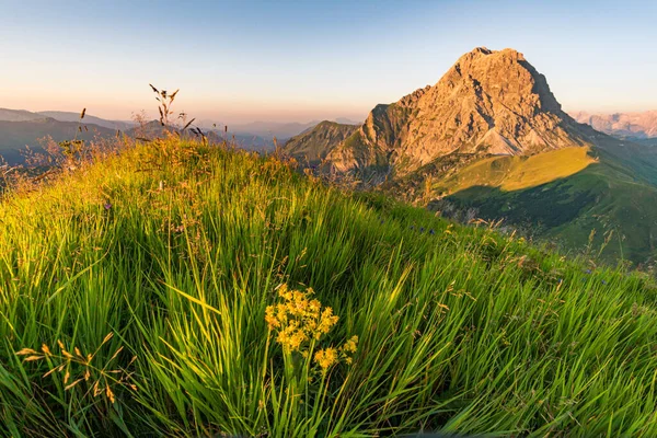 アルガウアルプスのシュロッケン近郊の美しいパノラマの山 ホーフスピッツの幻想的な夕日ツアー Kleinwalsertal — ストック写真