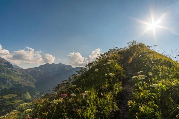 Allgau Alplerinde Schrocken Yakınlarındaki Güzel Panoramik Dağ Hoferspitze Fantastik Günbatımı — Stok fotoğraf