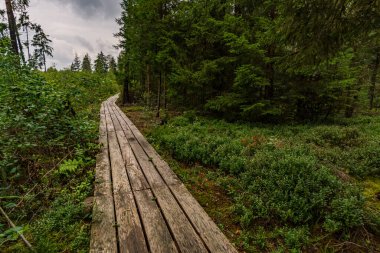 Güzel doğa rezervi Wilhelmsdorf Pfrunger Ravensburg ve Constance Gölü yakınlarındaki Yukarı Swabia 'da doğdu.