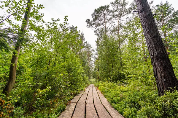 美しい自然保護区Wilhelmsdorf Pfrungerは RavensburgとLake Constanceの近くの上スワビアに嘘をつきました — ストック写真