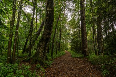 Güzel doğa rezervi Wilhelmsdorf Pfrunger Ravensburg ve Constance Gölü yakınlarındaki Yukarı Swabia 'da doğdu.