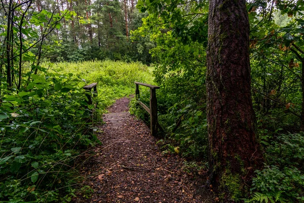 Krásná Přírodní Rezervace Wilhelmsdorf Pfrunger Ried Horním Švábsku Ravensburgu Bodamského — Stock fotografie