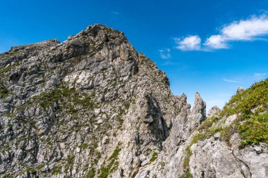 Vorarlberg Avusturya 'daki Lechquellen Dağları' nda Warth Schrocken yakınlarındaki Karhorn Via Ferrata 'ya tırmanıyorum.