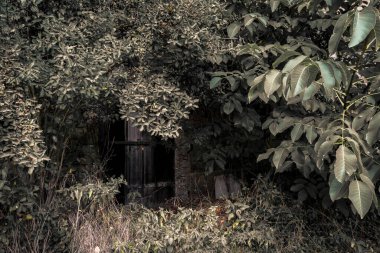 Constance Gölü yakınlarındaki Uberlingen ve Sipplingen yakınlarında fantastik mağaralar, mahzenler ve kaya mahzenleri