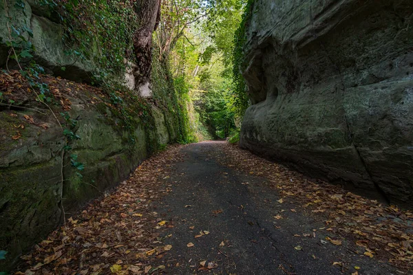 Misteriosa Caminata Través Del Túnel Goldbach Cerca Uberlingen Lago Constanza — Foto de Stock