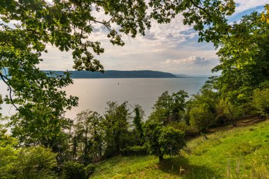 Constance Gölü 'nde Sipplingen ve Uberlingen yakınlarında muhteşem bir sonbahar yürüyüşü. Muhteşem manzarası, geçitleri, üzüm bağları, inekleri var.