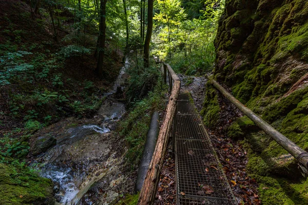 Fantastisk Vandring Genom Spetzgarter Och Hodinger Tobel Bodensjön Med Vattenfall — Stockfoto