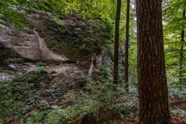 Constance Gölü 'ndeki Spetzjarter ve Hodinger Tobel' da şelaleleri ve ormansı bir atmosferi olan fantastik bir yürüyüş.