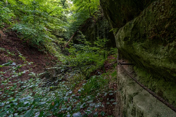 Fantástica Caminata Través Del Spetzgarter Hodinger Tobel Lago Constanza Con — Foto de Stock