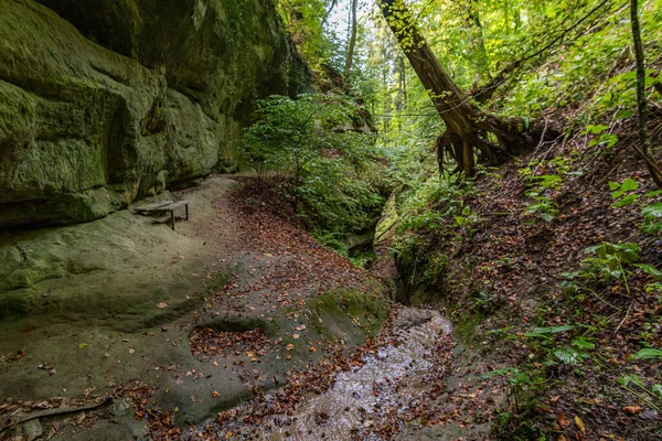 Caminhada Fantástica Através Spetzgarter Hodinger Tobel Lago Constança Com Cachoeiras — Fotografia de Stock