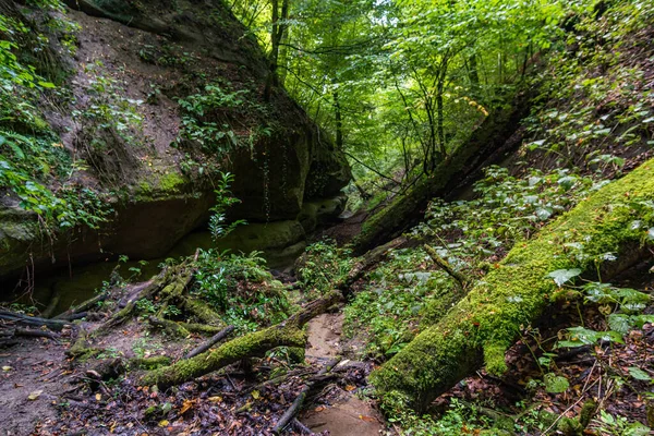 Fantastisk Vandring Genom Spetzgarter Och Hodinger Tobel Bodensjön Med Vattenfall — Stockfoto