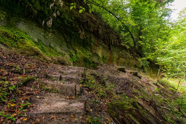 Fantasztikus Túra Spetzlarter Hodinger Tobel Tavon Constance Vízesésekkel Ősi Erdei — Stock Fotó