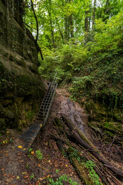 Traumhafte Wanderung Durch Den Spetzgarter Und Hodinger Tobel Bodensee Mit — Stockfoto