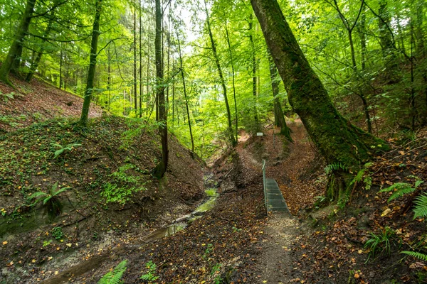 Caminhada Fantástica Através Spetzgarter Hodinger Tobel Lago Constança Com Cachoeiras — Fotografia de Stock