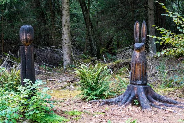 Holzfiguren Der Finkenwiese Pfrunger Wilhelmsdorfer Ried Oberschwaben — Stockfoto