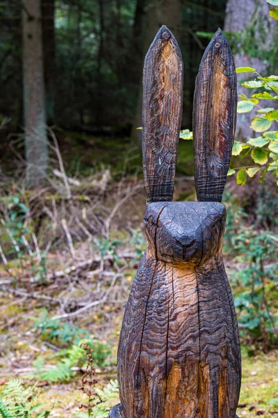 Holzfiguren Der Finkenwiese Pfrunger Wilhelmsdorfer Ried Oberschwaben — Stockfoto