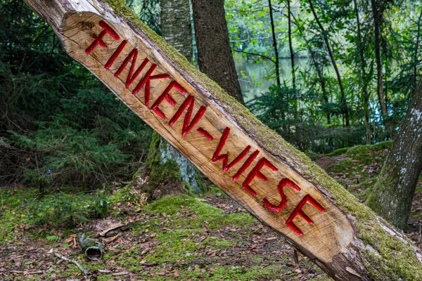 Holzfiguren Der Finkenwiese Pfrunger Wilhelmsdorfer Ried Oberschwaben — Stockfoto
