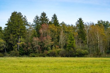 Doğadaki güzel sonbahar ormanı. Pfrungen Wilhelmsdorfer Almanya 'nın yukarısında.