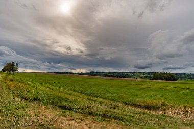 Almanya 'da Constance Gölü yakınlarındaki Wilhelmsdorf yakınlarında Yukarı Bataklık' ta harika, güneşli bir sonbahar yürüyüşü.