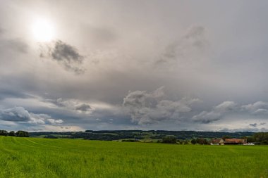 Almanya 'da Constance Gölü yakınlarındaki Wilhelmsdorf yakınlarında Yukarı Bataklık' ta harika, güneşli bir sonbahar yürüyüşü.