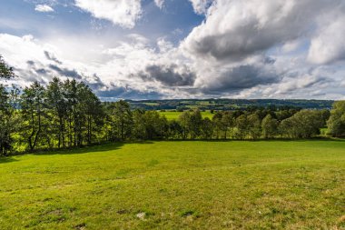 Almanya 'da Constance Gölü yakınlarındaki Wilhelmsdorf yakınlarında Yukarı Bataklık' ta harika, güneşli bir sonbahar yürüyüşü.
