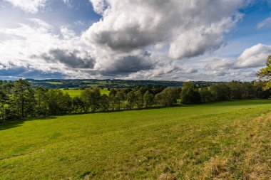 Almanya 'da Constance Gölü yakınlarındaki Wilhelmsdorf yakınlarında Yukarı Bataklık' ta harika, güneşli bir sonbahar yürüyüşü.