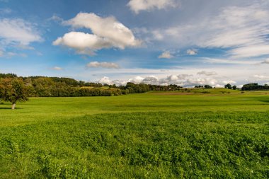 Almanya 'da Constance Gölü yakınlarındaki Wilhelmsdorf yakınlarında Yukarı Bataklık' ta harika, güneşli bir sonbahar yürüyüşü.