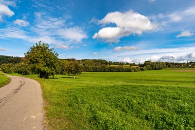 Almanya 'da Constance Gölü yakınlarındaki Wilhelmsdorf yakınlarında Yukarı Bataklık' ta harika, güneşli bir sonbahar yürüyüşü.