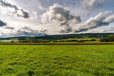 Almanya 'da Constance Gölü yakınlarındaki Wilhelmsdorf yakınlarında Yukarı Bataklık' ta harika, güneşli bir sonbahar yürüyüşü.
