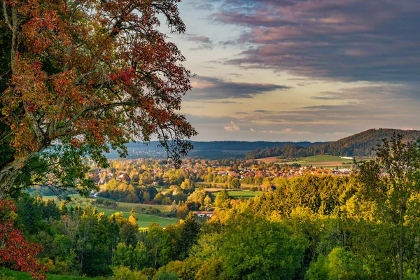 Красивый Осенний Поход Красочный Лес Возле Вильгельмсдорфа Возле Равенсбурга Верхней — стоковое фото