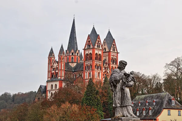 Johann Von Nepomuk Voor Kathedraal Van Limburg — Stockfoto