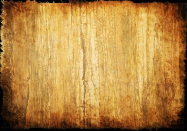 Eski kağıt, arka plan ağaç kabuğu