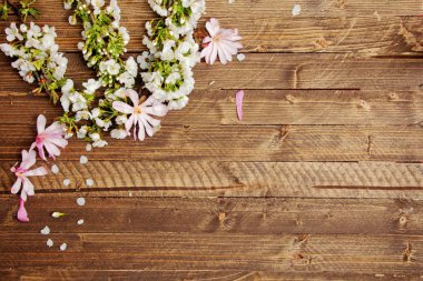 Ahşap plaka ile bahar, arka plan