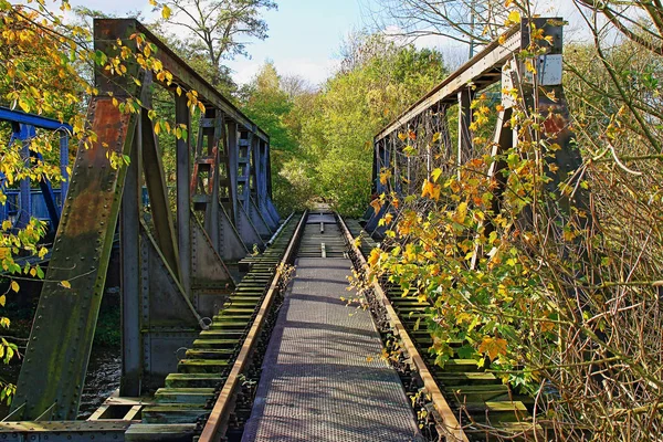 Заброшенная железнодорожная линия, стальной мост перерос — стоковое фото