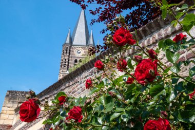 Thorn'daki Abbey Kilisesi, Limburg, Hollanda