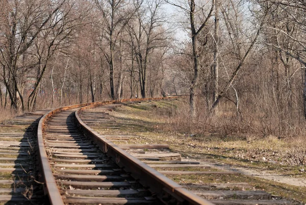 Railway Two Turns Forest Trees Leaves — Stock Photo, Image