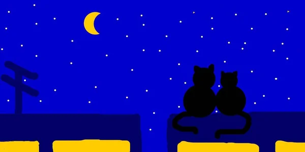 Twee Katten Het Dak Van Stad Van Nacht — Stockfoto