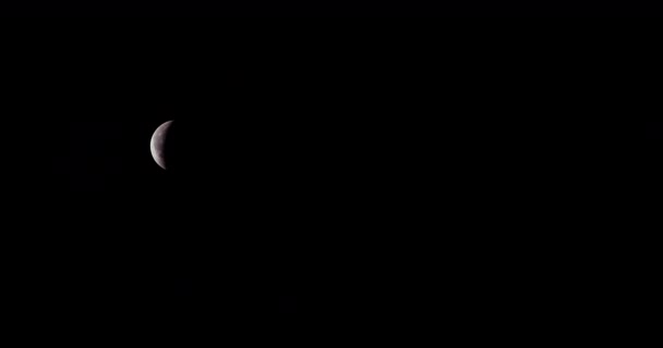 Maledetta Eclissi Lunare Che Termina Filmato Del Time Lapse Luglio — Video Stock