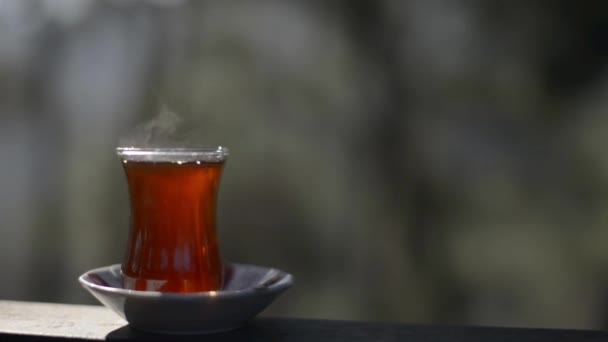 緑の背景とフローリングの床に屋外トルコの紅茶 — ストック動画