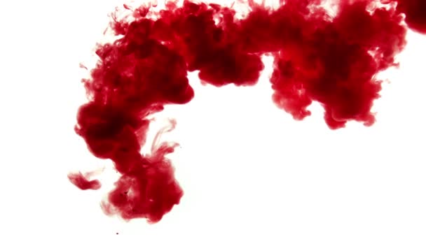 Beyaz Zemin Üzerine Kırmızı Boya Patlama Görüntüleri — Stok video