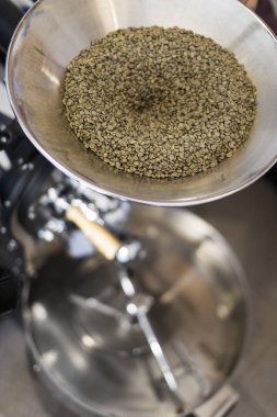 Kahve kavurma makinesi. Çiğ kahve çekirdekleri üzerine.