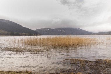 Kışın kar yok ama Abant Gölü ve Doğa Parkı.