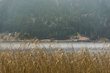 Kışın kar yok ama Abant Gölü ve Doğa Parkı.