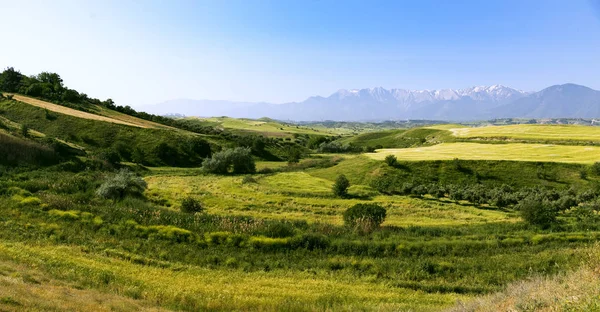 Paisagem Com Montanhas Colinas — Fotografia de Stock