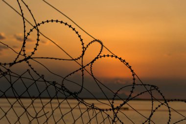 Dikenli teller ile deniz günbatımı üzerinde.