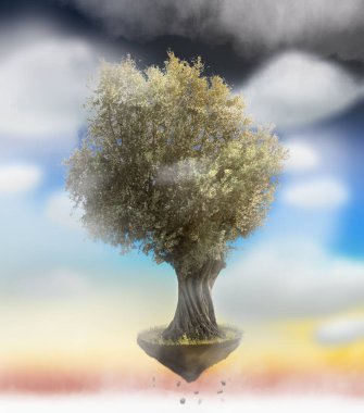 Zeytin ağacı üzerinde mavi bir gökyüzü bulutlu izole.