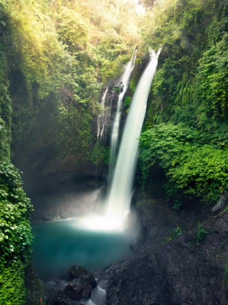 Aling Aling Waterval Aan Indonesië Bali Verticale Beeldmateriaal Voor Smartphones — Stockvideo