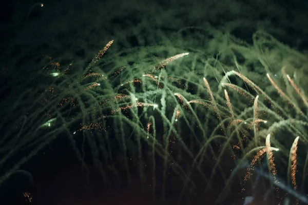 Espectáculo Fuegos Artificiales Coloridos Por Noche — Foto de Stock